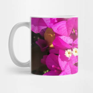 Purple bougainvilleas Mug